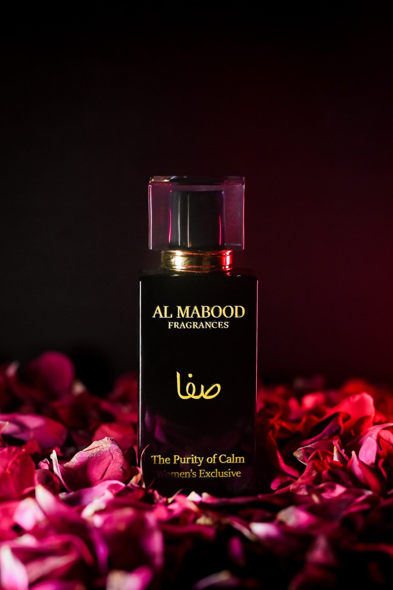 SAFA – The Purity of Calm